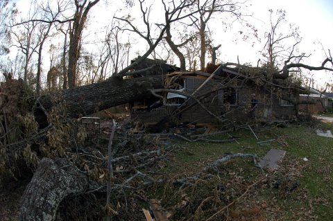 FEMA - 11187 - Photograph by Jocelyn Augustino taken on 09-23-2004 in Alabama