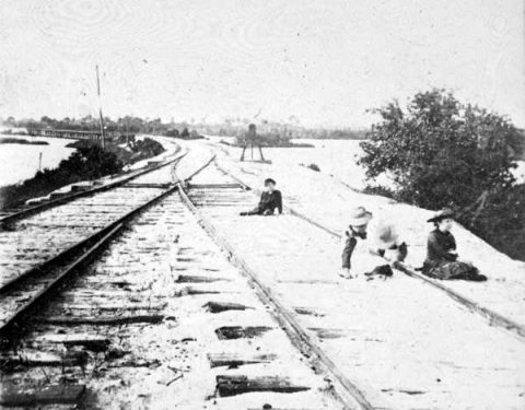 Cedar Key tracks