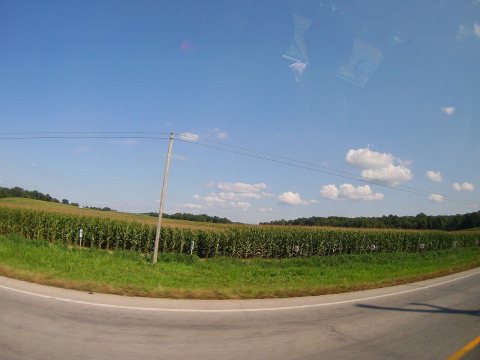 Rutherford Township, IN 47553, USA - panoramio (9)
