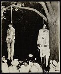 Two African American men, lynched, hanging from tree