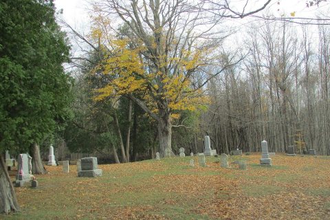 Maple Grove Cem 8944
