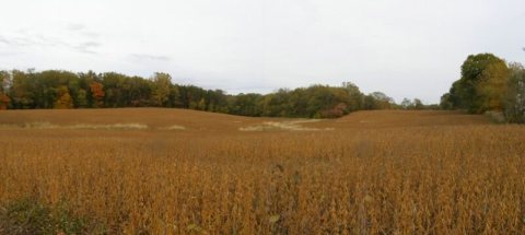 Jackson Twp (Soy field) Porter County Indiana