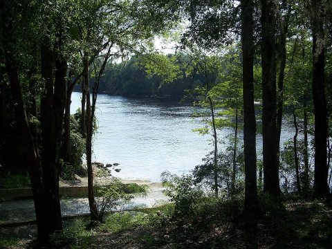 Bell Suwannee River south03