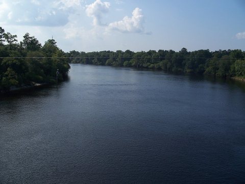Bell Suwannee River north01
