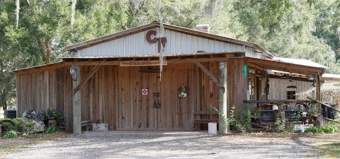 Cannon Farm, Bell, Florida, US (4)