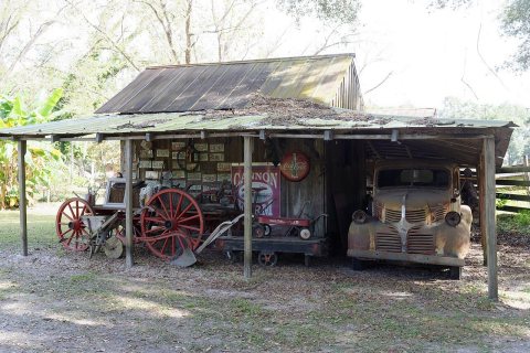 Cannon Farm, Bell, Florida, US (3)