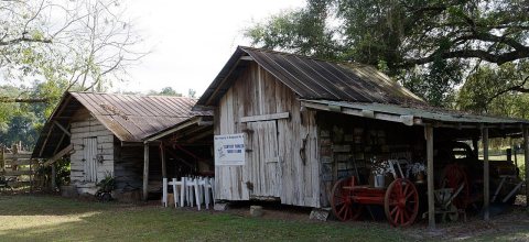 Cannon Farm, Bell, Florida, US (2)