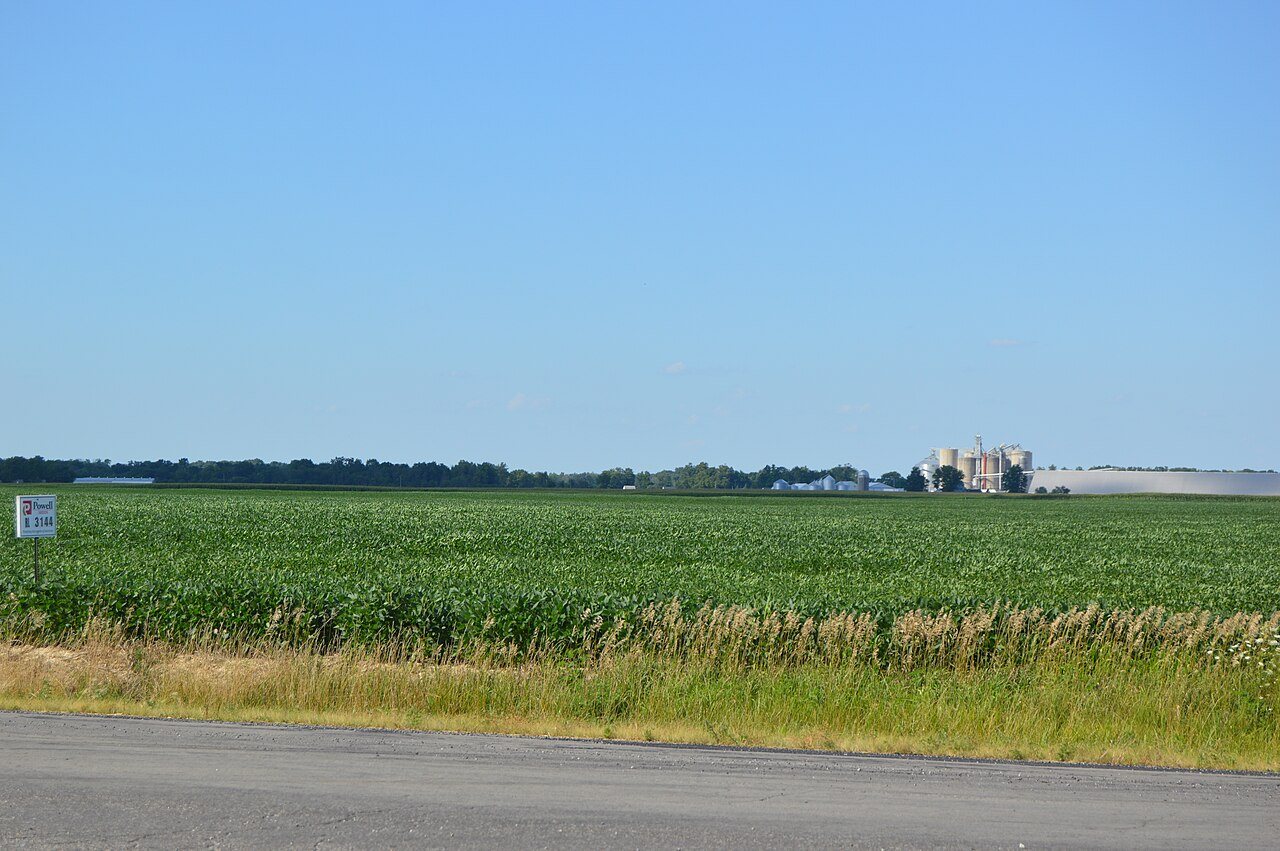 Jackson Township south of Amboy