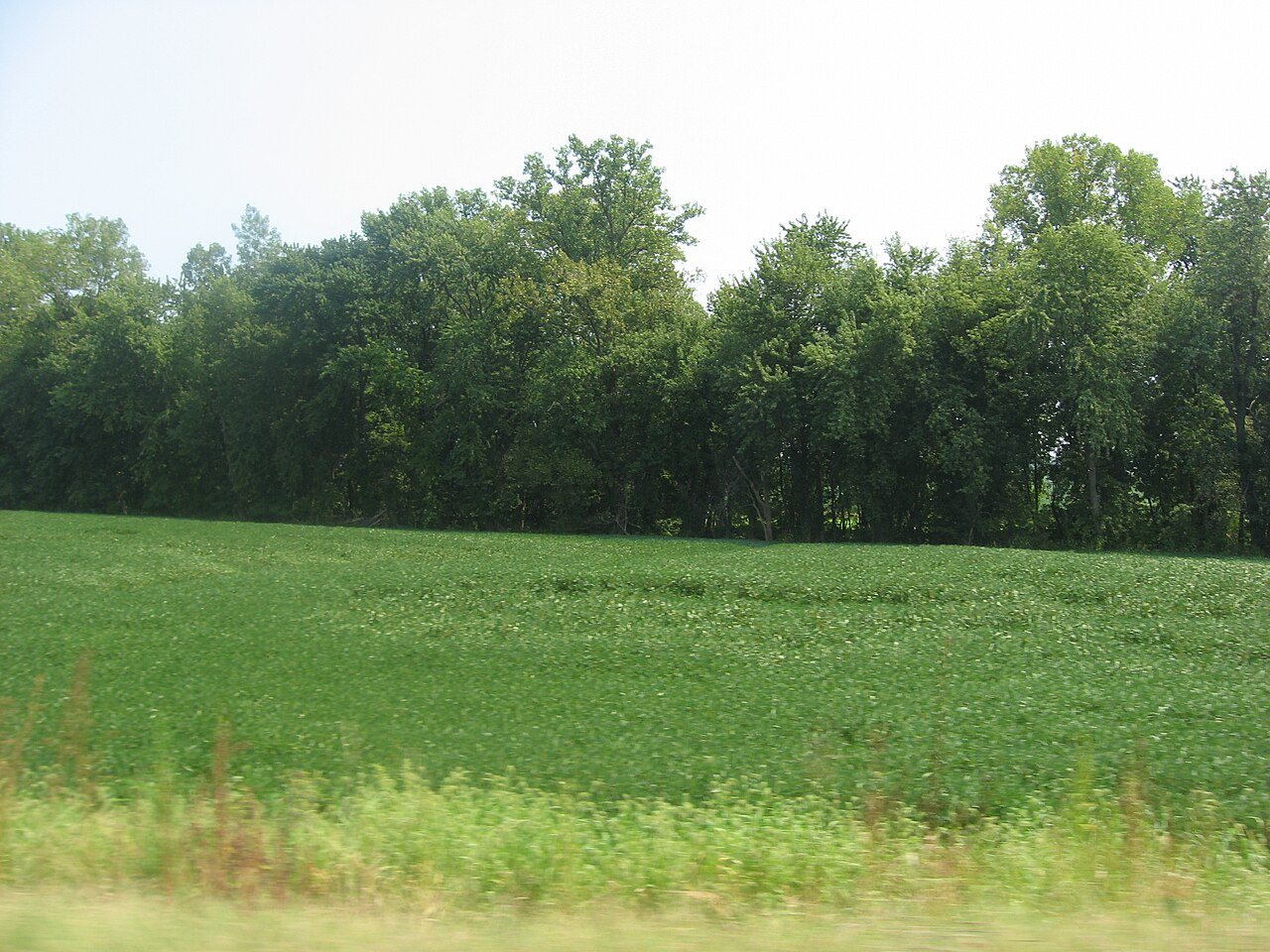 Ashworth Archaeological Site