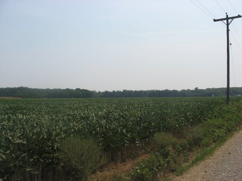 Murphy Site from the north