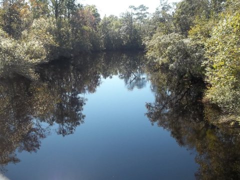 Sopchoppy River FL south01