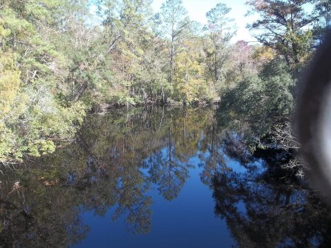 Sopchoppy River FL north01