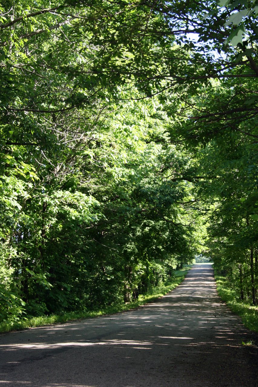 Fountain County, Indiana road