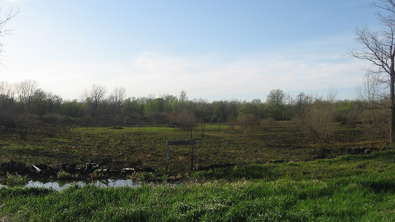 New Castle Archaeological Site from southeast