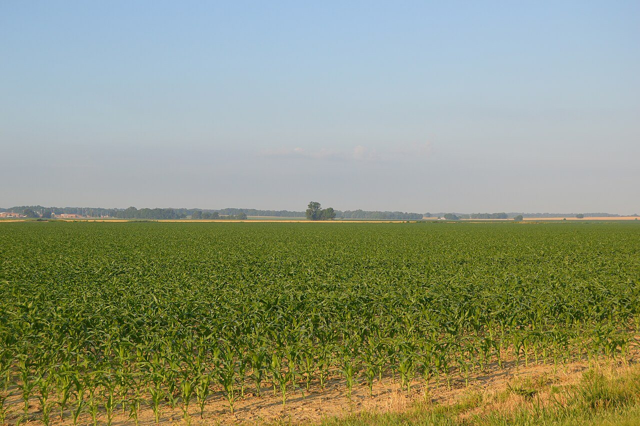 Robb Township cornfields near Poseyville