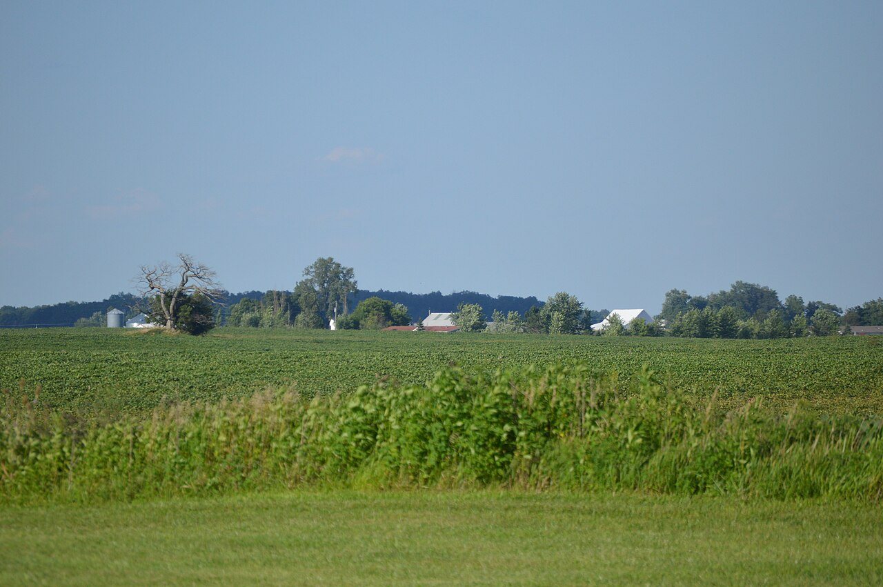 Penn Township soybean field on IN 18