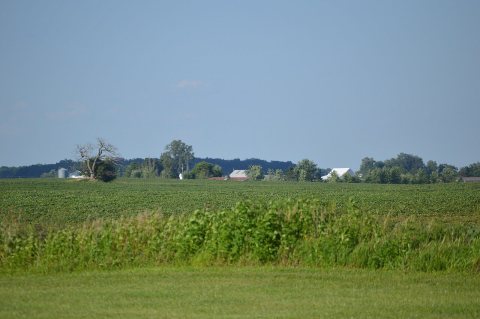 Penn Township soybean field on IN 18