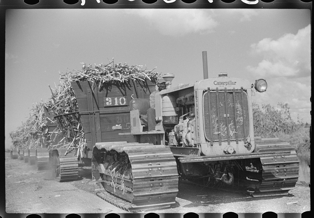 Harvesting sugarcane, United States Sugar Corporation