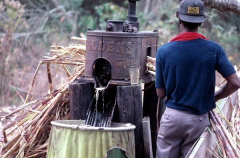 Making cane syrup