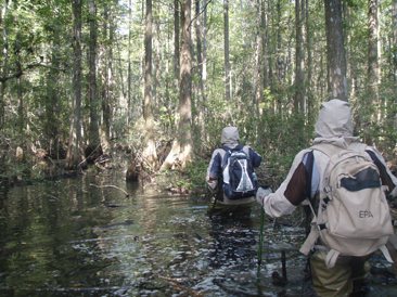 Wading for samples