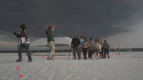 Beach march