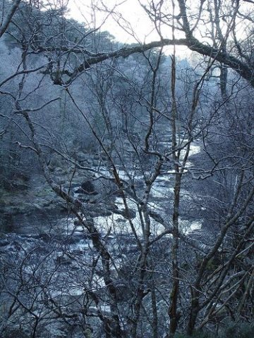 Rogue Hollow Creek