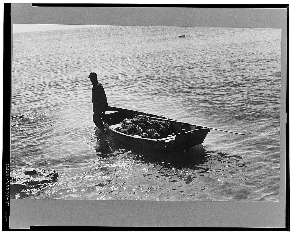 Fishermen