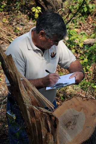 FEMA - 38853 - FEMA Debris Specialist in Nassau County