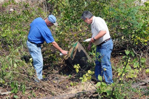 FEMA - 38852 - FEMA Debris Specialist in Nassau County