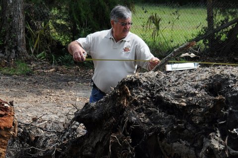 FEMA - 38848 - FEMA Debris Specialist in Nassau County