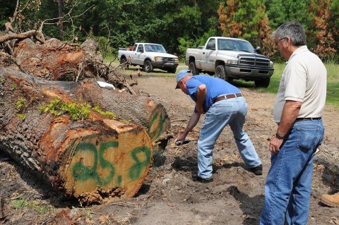 FEMA - 38850 - FEMA Debris Specialist with county workers