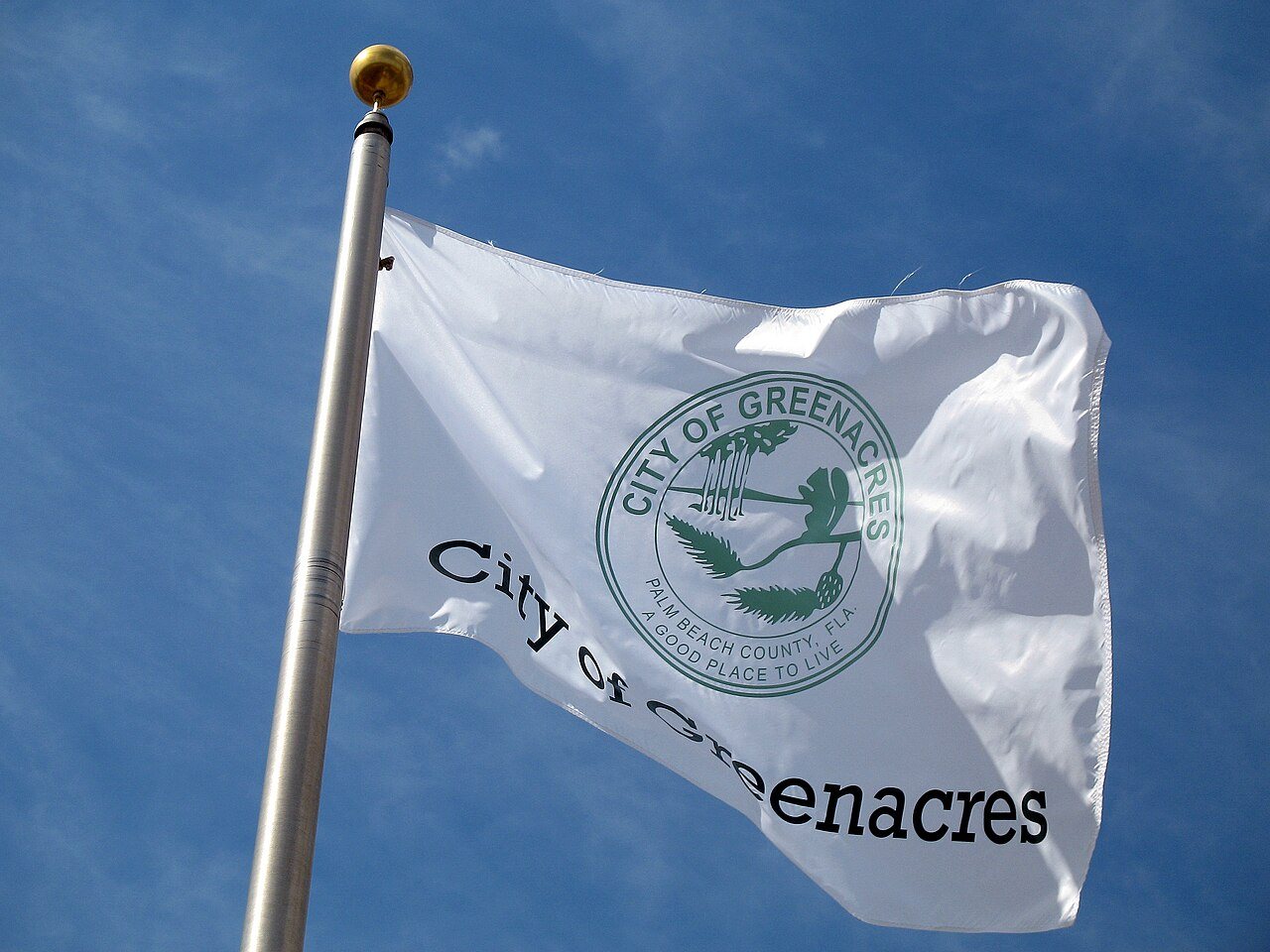 Flag of