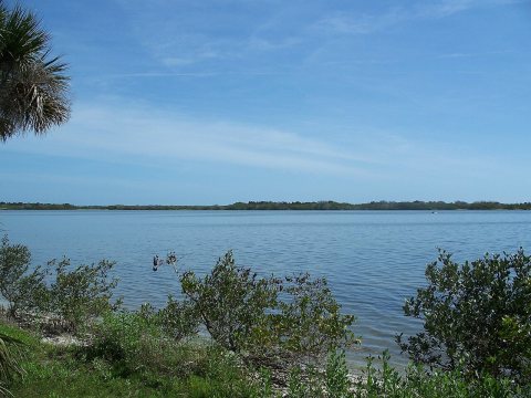 Oak Hill FL CNS01