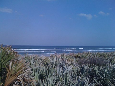 Oak Hill, FL, USA - panoramio (1)