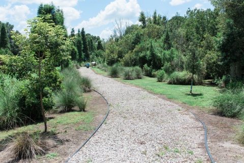 Mulberry Trail