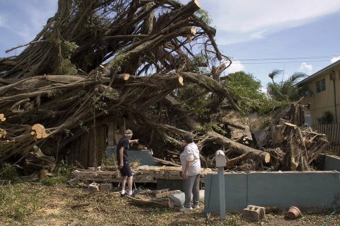 FEMA - 27263 - Photograph by Marvin Nauman taken on 08-28-2005 in Florida
