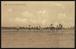 Polo at Miami Beach, Florida