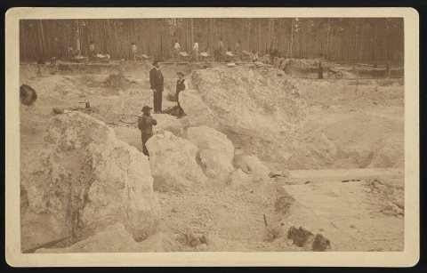 Boulders of phosphate in the mines of Marion Phosphate Co