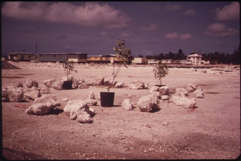 TRAILER PARK UNDER CONSTRUCTION AT MARATHON IN THE CENTRAL FLORIDA KEYS. THIS IS ONE OF MANY SUCH PARKS SPRINGING UP...…