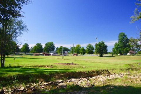 Susan-Moore-park-al