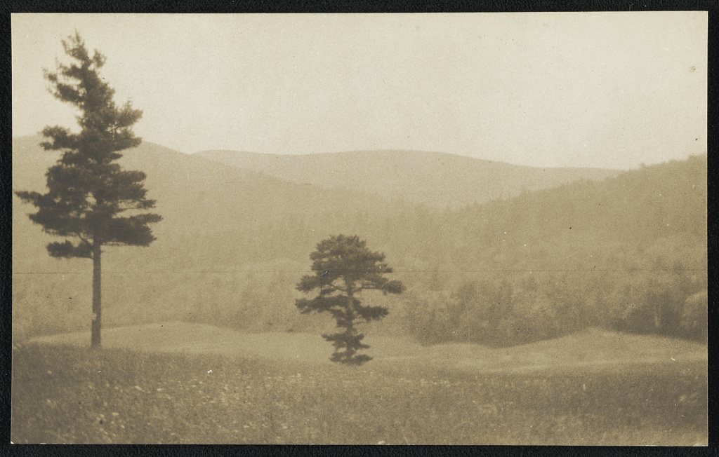 View of rolling hills and trees