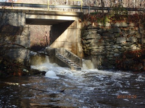 Etna Pond Fishway