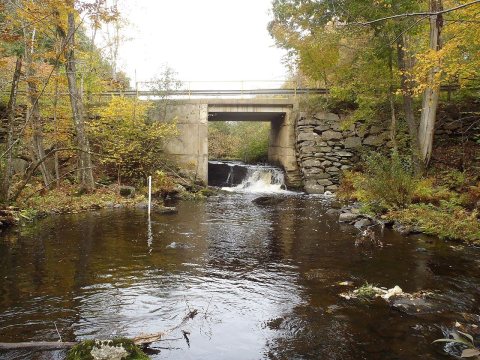 Etna Pond Outlet, Maine