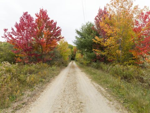 Country road in fall near Etna, Maine