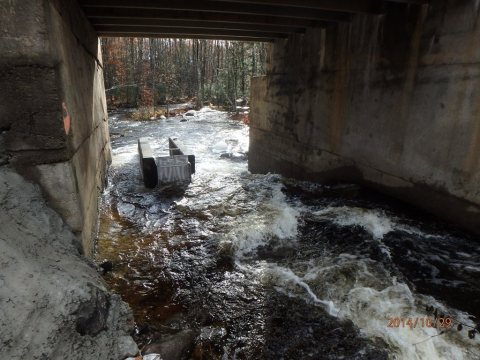 Etna Pond Fishway
