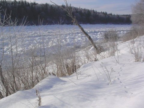 Ice jam along the Allagash River at Allagash, ME (ALLM1) in December 2003