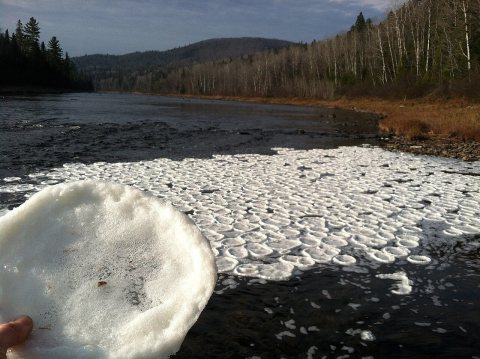 Pancake ice on the Allagash River, Maine