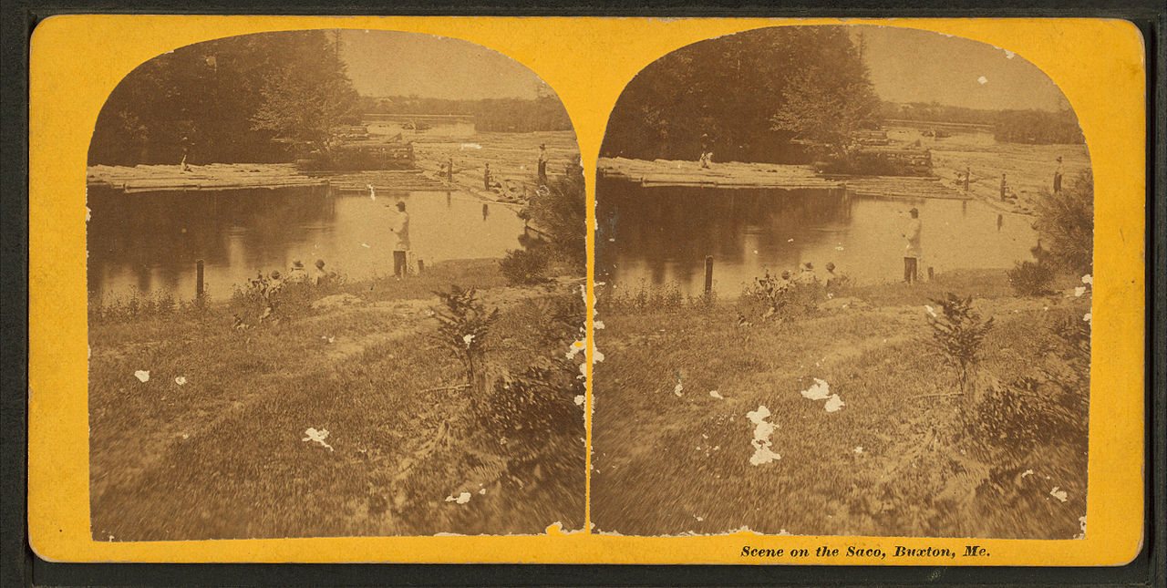 Scene on the Saco, Buxton, Me