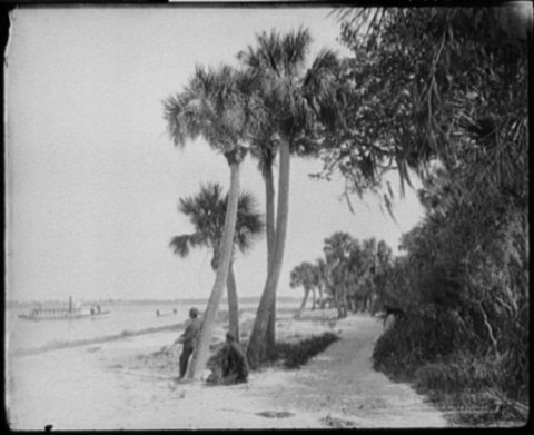Indian River at Cocoa, Fla