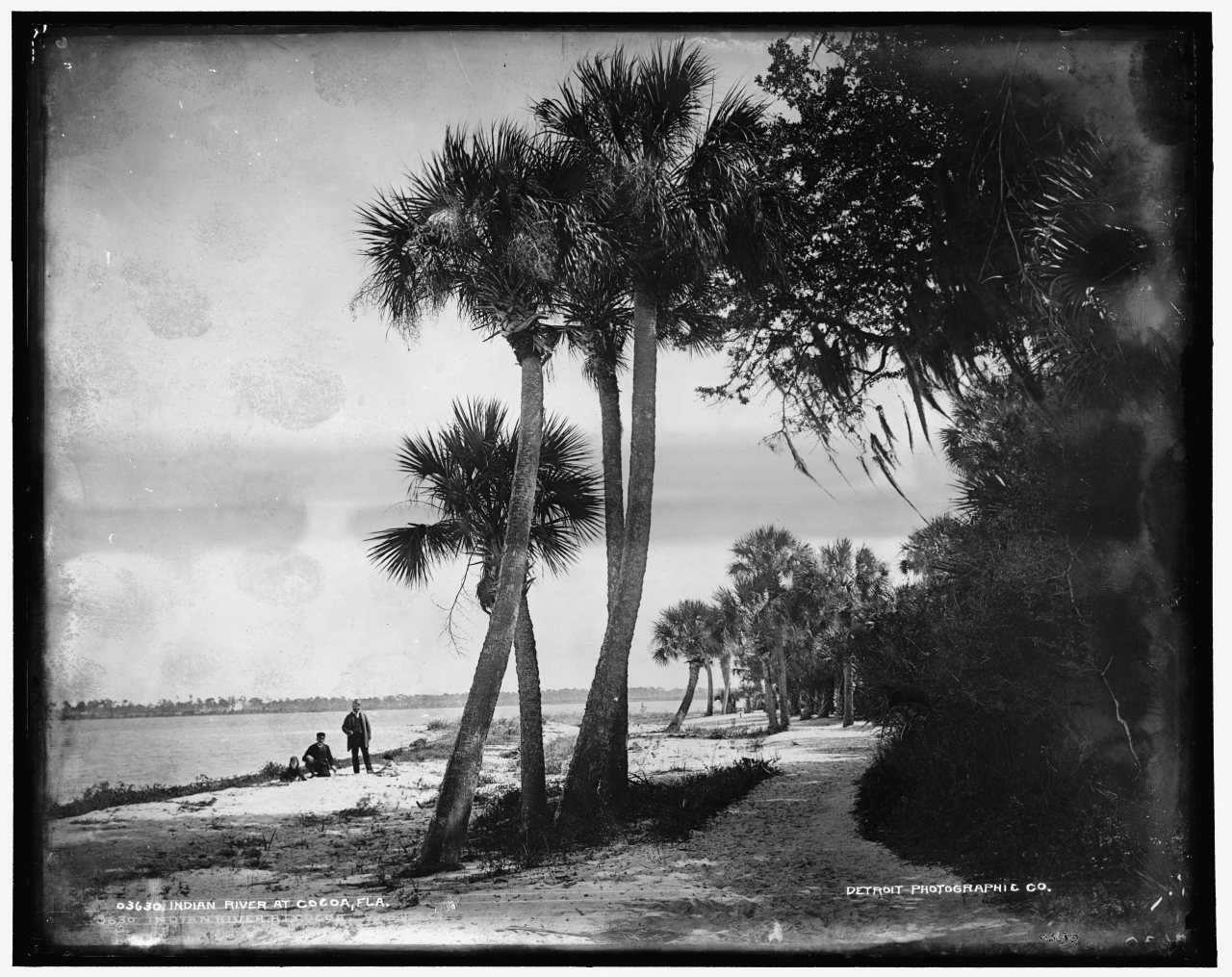 Indian River at Cocoa, Fla